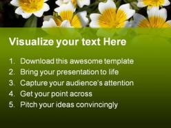Flower nature powerpoint templates and powerpoint backgrounds 0311