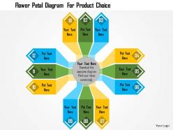 Flower Petal Diagram For Product Choice Flat Powerpoint Design