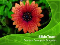 Flower with dew drops nature powerpoint templates ppt themes and graphics 0313