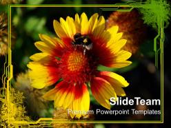 Flower with honey bee nature powerpoint templates ppt themes and graphics 0213