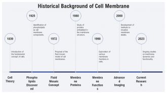 Fluid Mosaic Model Of The Cell Membrane PPT PowerPoint AT Aesthatic Slides