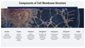 Fluid Mosaic Model Of The Cell Membrane PPT PowerPoint AT Engaging Slides