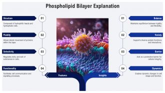 Fluid Mosaic Model Of The Cell Membrane PPT PowerPoint AT Adaptable Slides