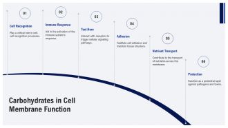 Fluid Mosaic Model Of The Cell Membrane PPT PowerPoint AT Image Idea