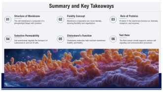 Fluid Mosaic Model Of The Cell Membrane PPT PowerPoint AT Colorful Idea