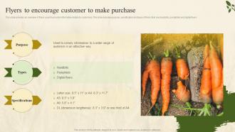 Flyers To Encourage Customer To Make Purchase Farm Marketing Plan To Increase Profit Strategy SS