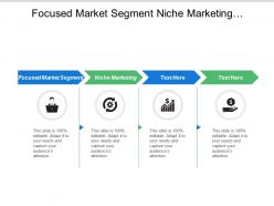 Focused market segment niche marketing demographic structure natural environment