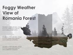 Foggy weather view of romania forest