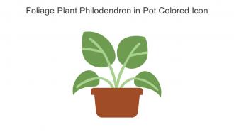 Foliage Plant Philodendron In Pot Colored Icon In Powerpoint Pptx Png And Editable Eps Format
