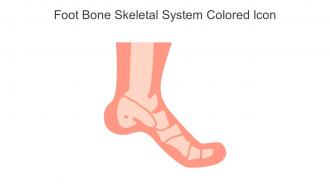 Foot Bone Skeletal System Colored Icon In Powerpoint Pptx Png And Editable Eps Format