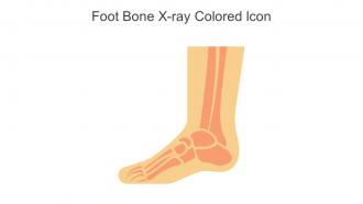 Foot Bone X Ray Colored Icon In Powerpoint Pptx Png And Editable Eps Format
