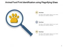 Foot Print Identification Magnifying Glass Illustrating Representing Individual