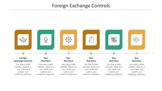 Foreign exchange controls ppt powerpoint presentation portfolio layout cpb