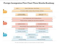 Foreign immigration flow chart three months roadmap