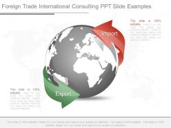 Foreign trade international consulting ppt slide examples