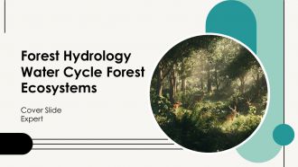 Forest Hydrology Water Cycle Forest Ecosystems PPT Designs AT