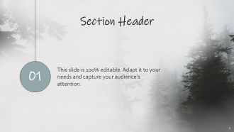 Forest Mist And Tree Silhouettes Powerpoint Background Template Idea Researched