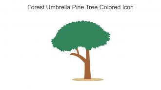 Forest Umbrella Pine Tree Colored Icon In Powerpoint Pptx Png And Editable Eps Format