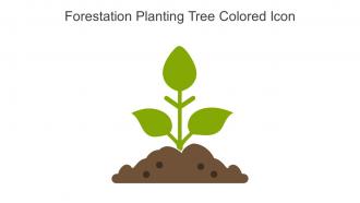 Forestation Planting Tree Colored Icon In Powerpoint Pptx Png And Editable Eps Format