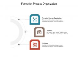 Formation process organization ppt powerpoint presentation pictures grid cpb