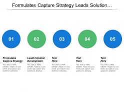 Formulates capture strategy leads solution development identify opportunities