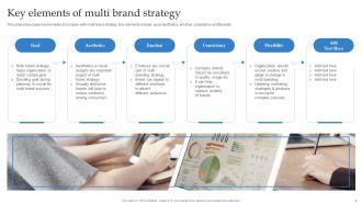 Formulating Strategy With Multiple Product Lines Branding CD V Good Compatible
