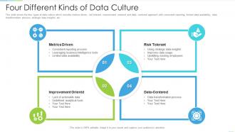 Four different kinds of data culture