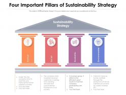Four important pillars of sustainability strategy