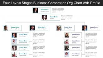 Four levels business corporation org chart with profile