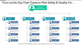 Four levels org chart treasury risk safety and quality for airlines