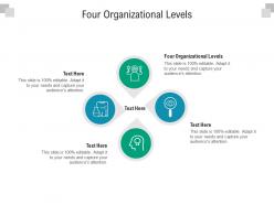 Four organizational levels ppt powerpoint presentation infographic template graphics template cpb