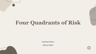 Four Quadrants of Risk PPT Sample VA
