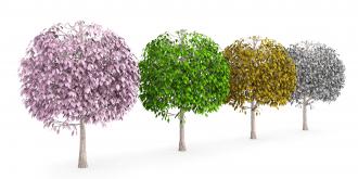 Four seasons with colored trees stock photo