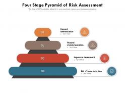 Four stage pyramid of risk assessment