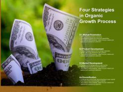 Four strategies in organic growth process