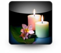 Frangipane flower with couple powerpoint icon s
