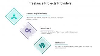 Freelance Projects Providers Ppt Powerpoint Presentation Portfolio Portrait Cpb