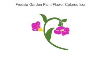 Freesia Garden Plant Flower Colored Icon In Powerpoint Pptx Png And Editable Eps Format