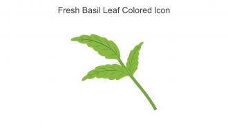 Fresh Basil Leaf Colored Icon In Powerpoint Pptx Png And Editable Eps Format