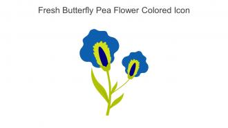 Fresh Butterfly Pea Flower Colored Icon In Powerpoint Pptx Png And Editable Eps Format