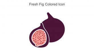 Fresh Fig Colored Icon In Powerpoint Pptx Png And Editable Eps Format