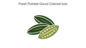 Fresh Pointed Gourd Colored Icon In Powerpoint Pptx Png And Editable Eps Format