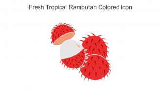 Fresh Tropical Rambutan Colored Icon In Powerpoint Pptx Png And Editable Eps Format