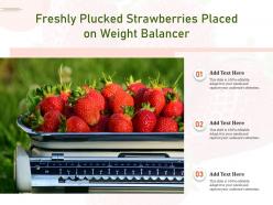 Freshly plucked strawberries placed on weight balancer