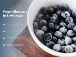 Frozen blueberry in bowl image