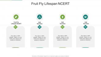 Fruit Fly Lifespan NCERT In Powerpoint And Google Slides Cpb