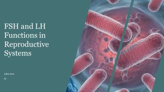 FSH And LH Functions In Reproductive Systems PPT Slides AT