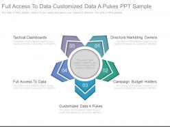 Full access to data customized data a pukes ppt sample