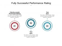 Fully successful performance rating ppt powerpoint presentation icon graphic tips cpb