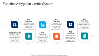 Function Amygdala Limbic System In Powerpoint And Google Slides Cpb